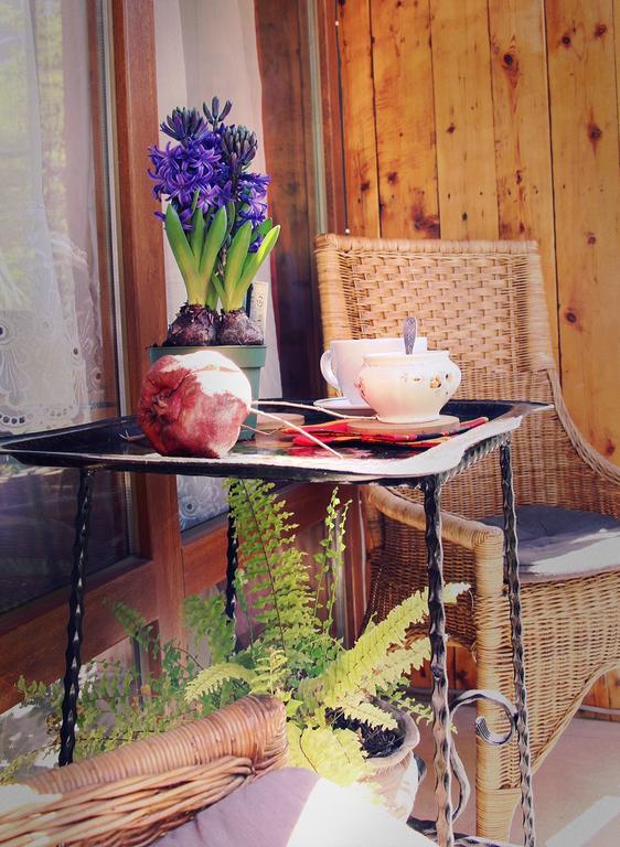 Апартаменты Tania's Home Тбилиси Экстерьер фото